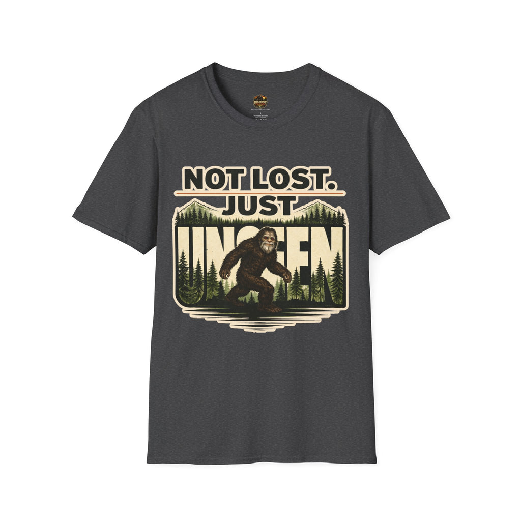Not Lost Just Unseen