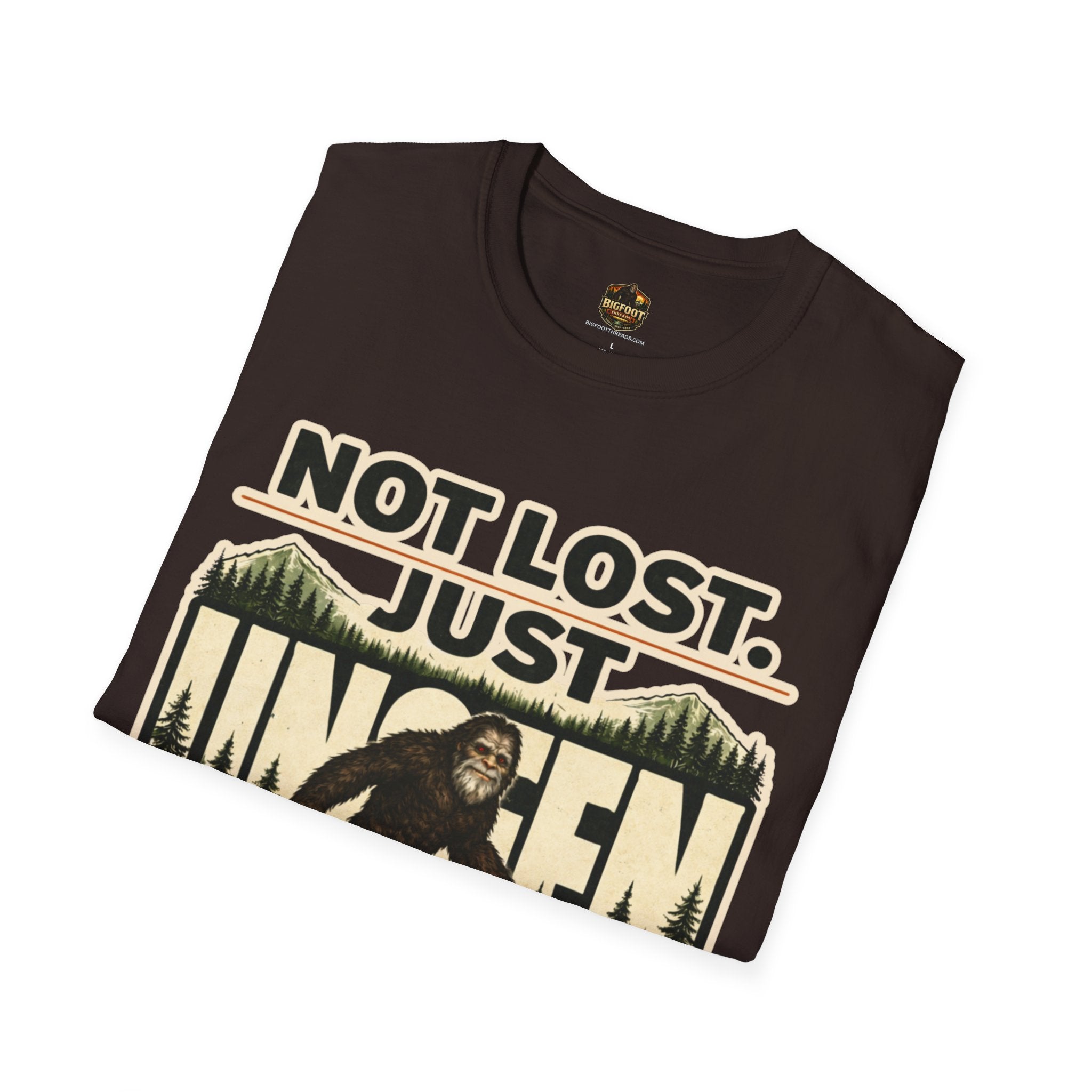Not Lost Just Unseen