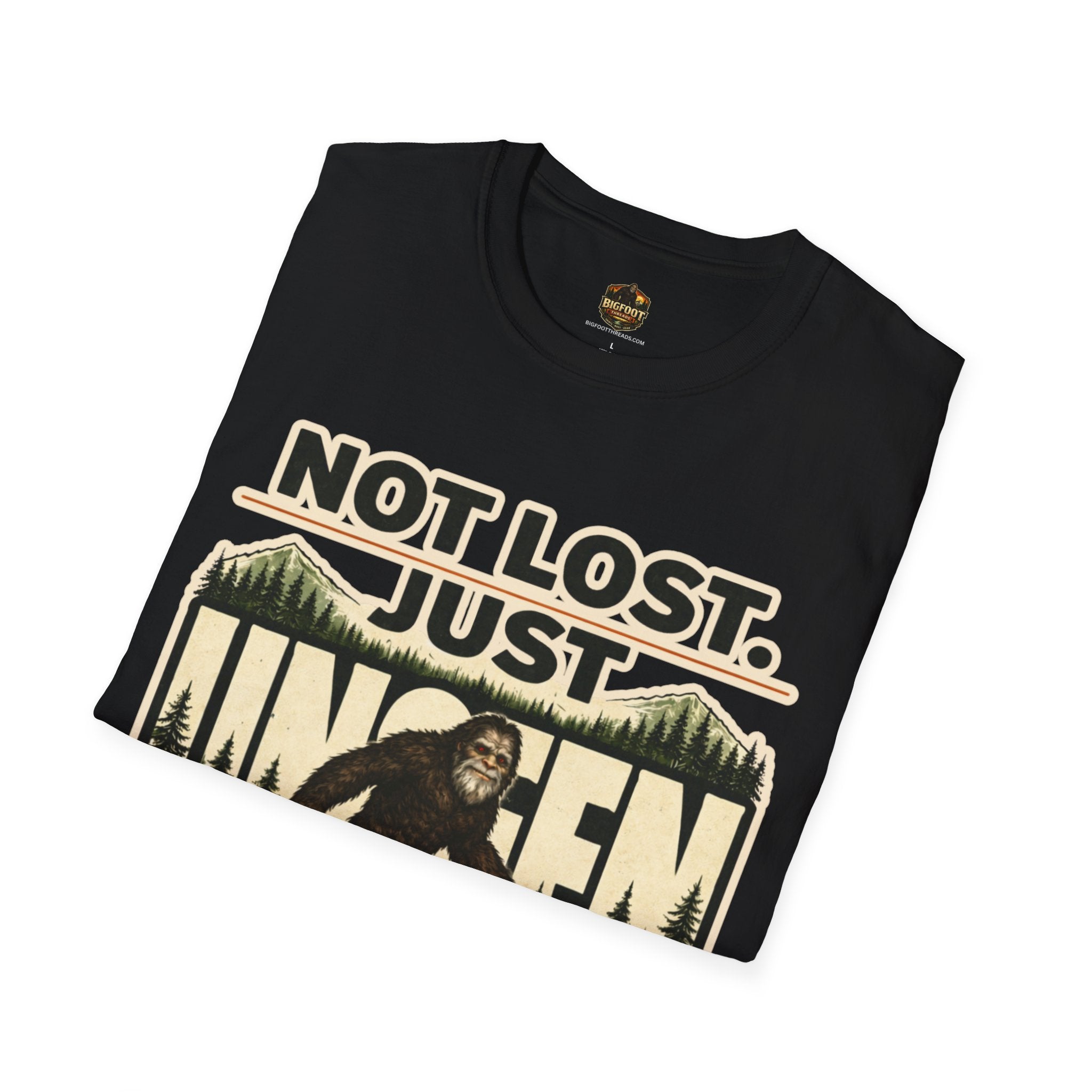 Not Lost Just Unseen
