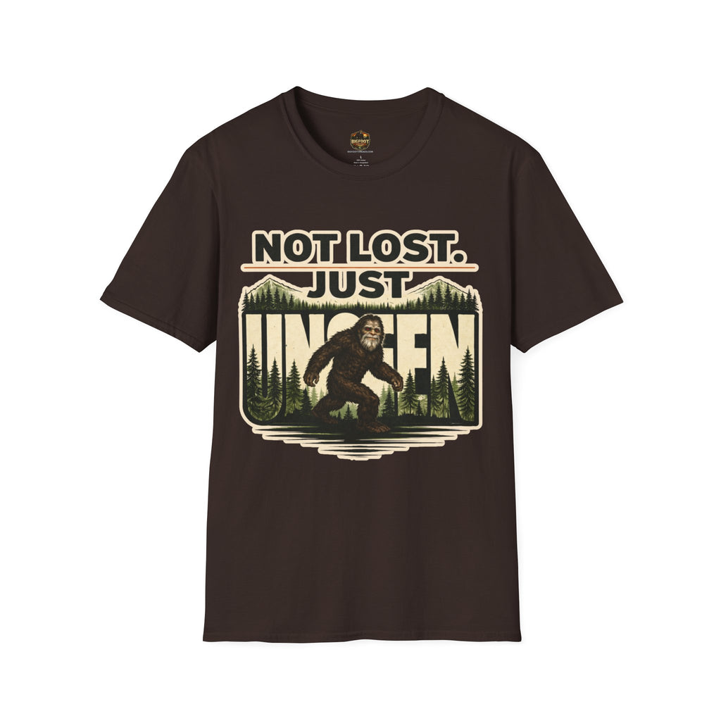Not Lost Just Unseen