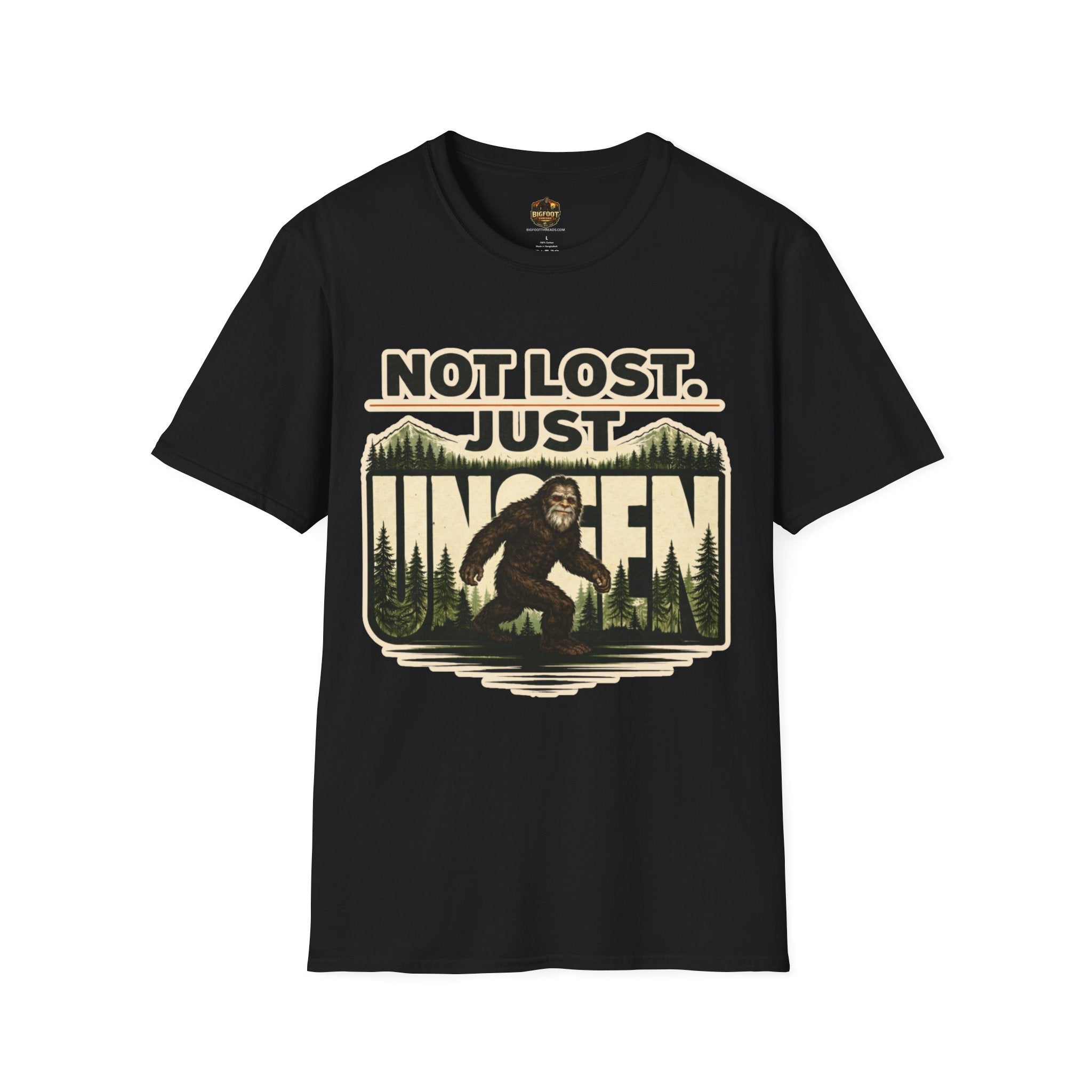 Not Lost Just Unseen